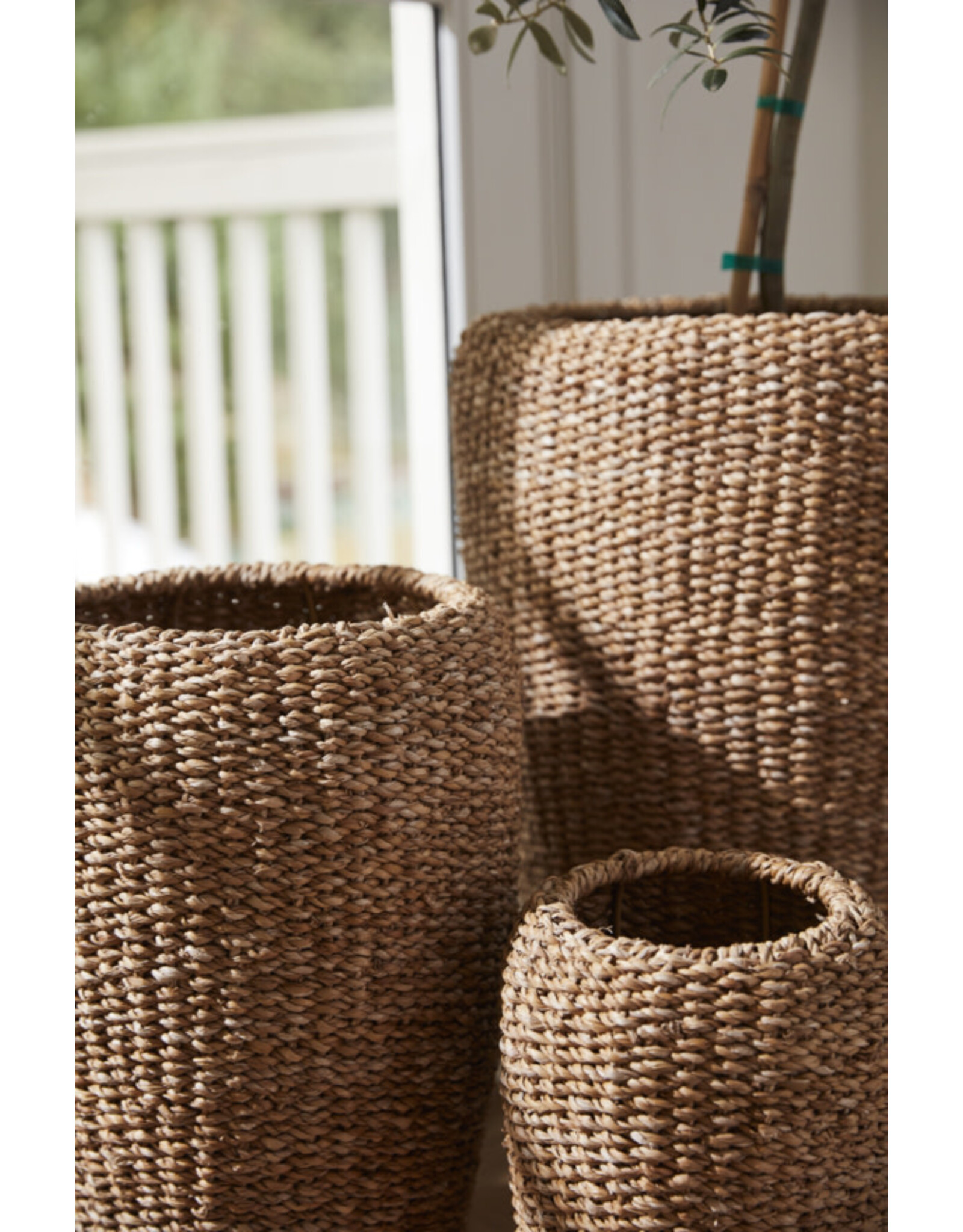 Mirabel Vase
