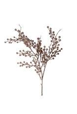 Berry Branch