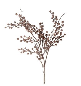 Berry Branch