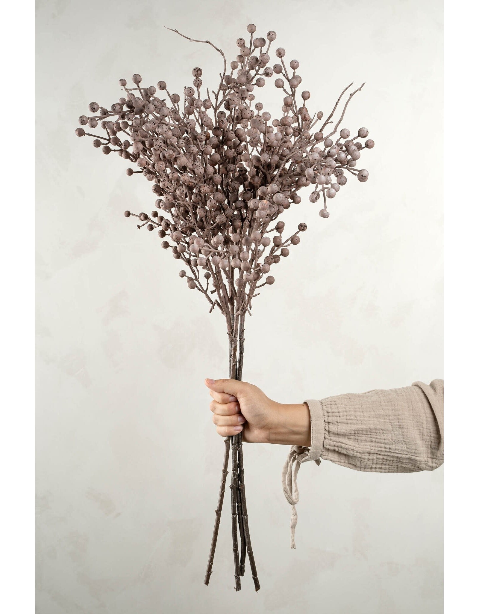 Berry Branch