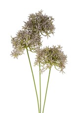 Allium Floral Spray