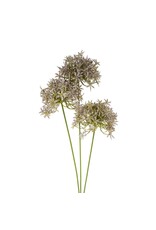 Allium Floral Spray