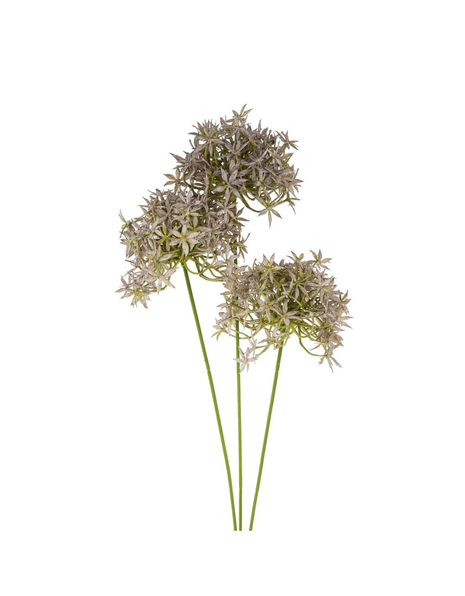 Allium Floral Spray