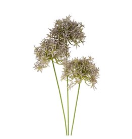 Allium Floral Spray