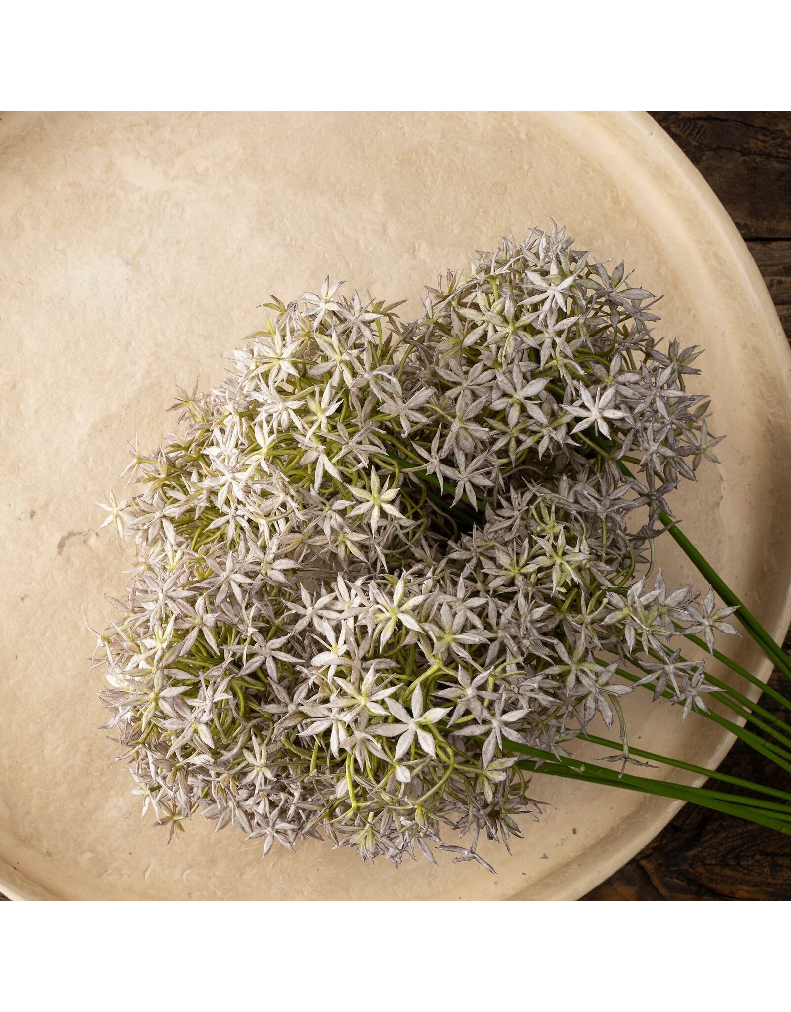 Allium Floral Spray