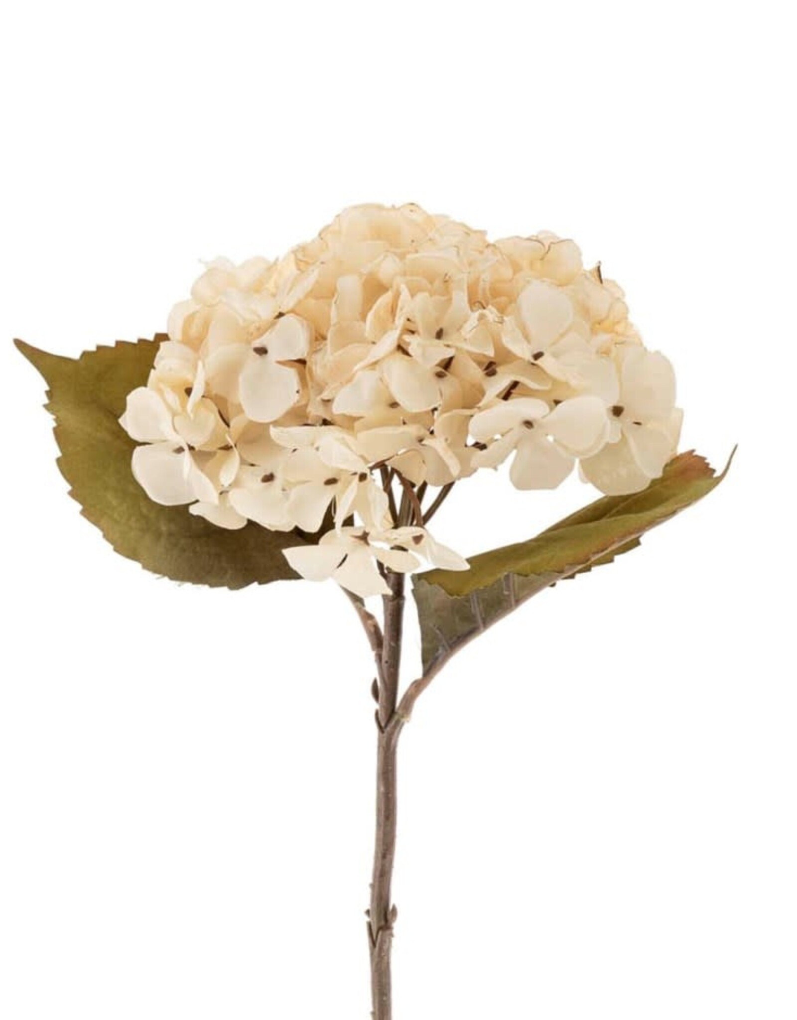 Hydrangea Floral Stem, Antique White