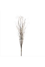 Curly Willow Bundle