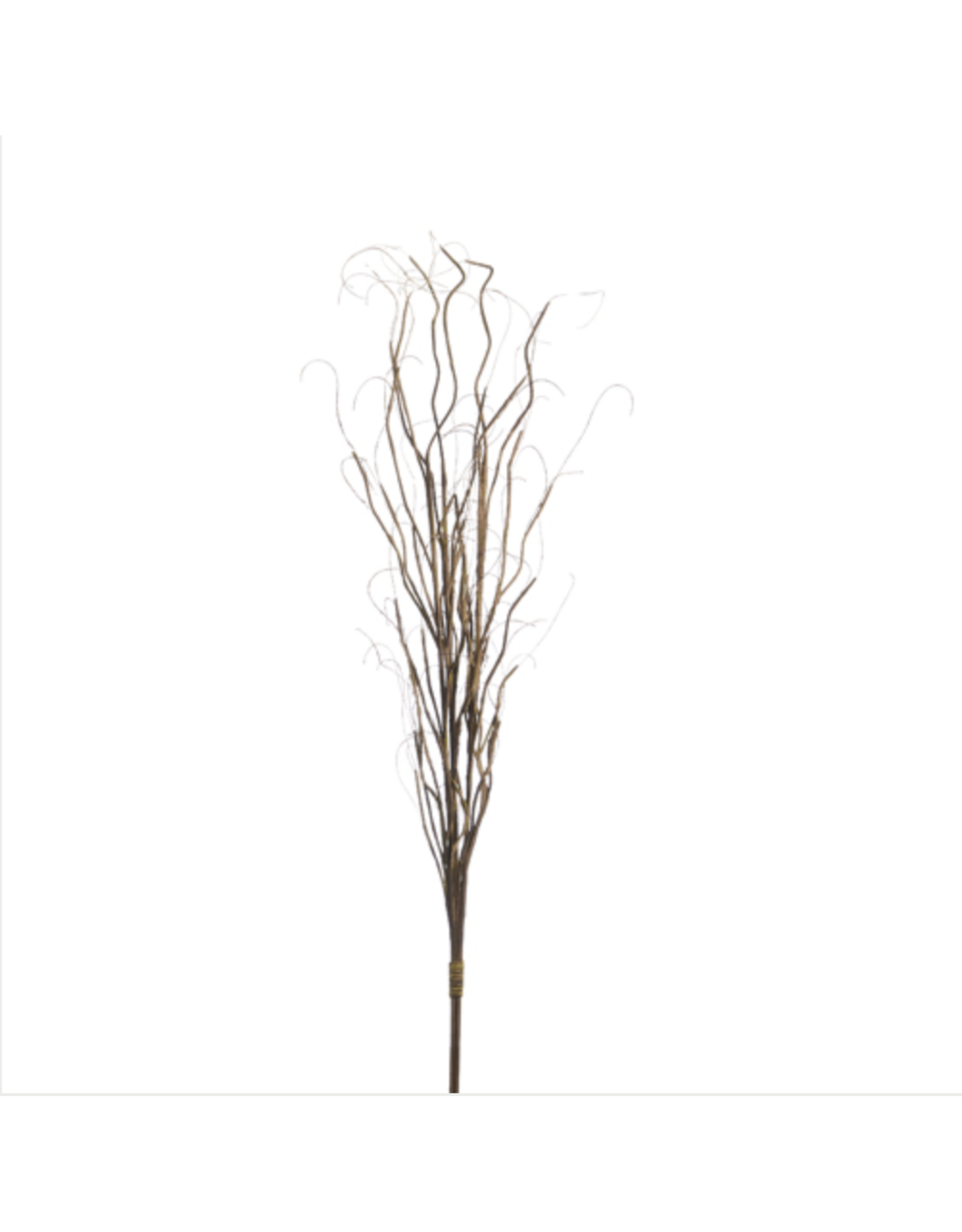 Curly Willow Bundle