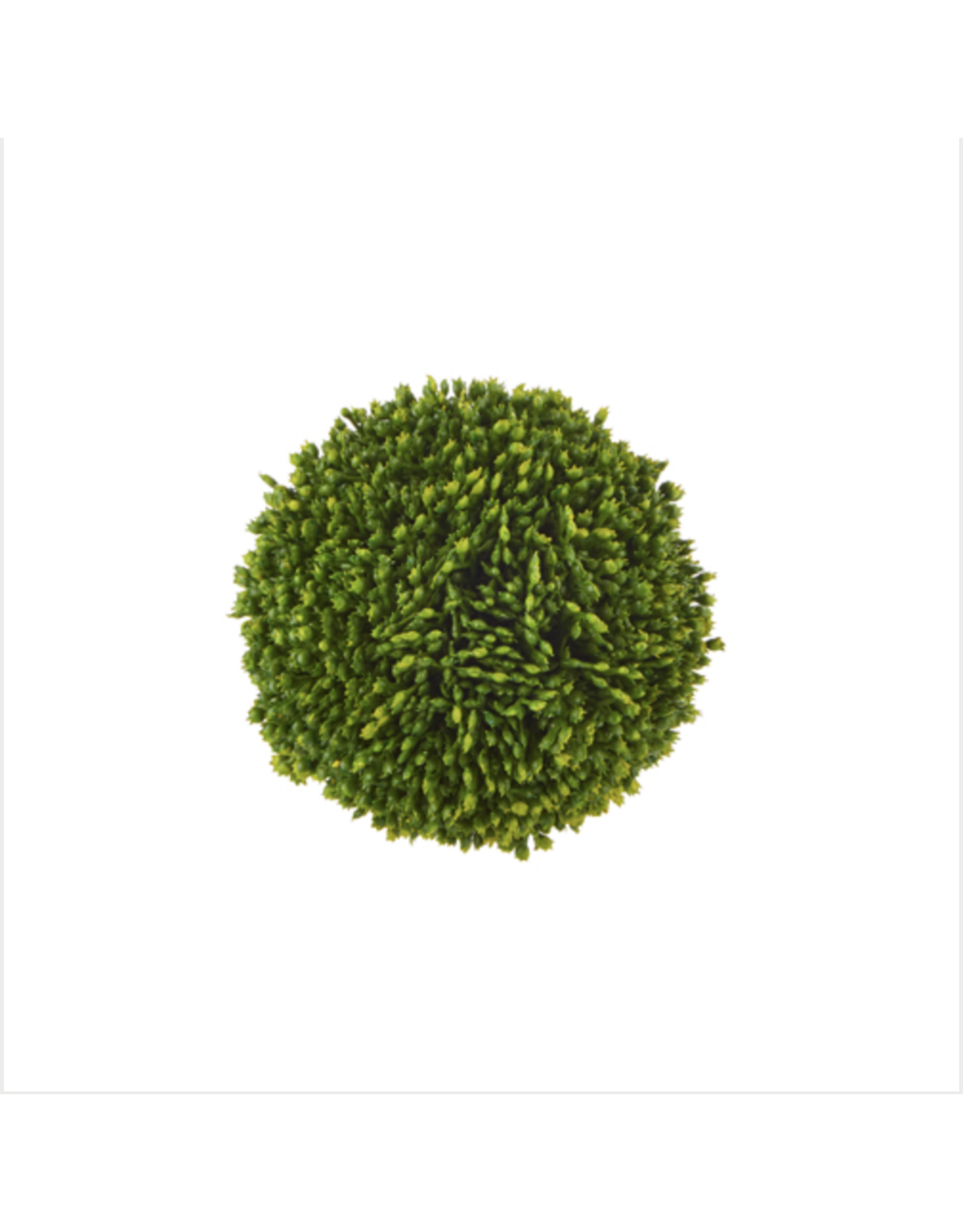 4" Sedum Ball