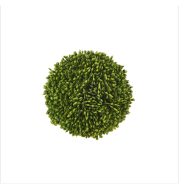 4" Sedum Ball