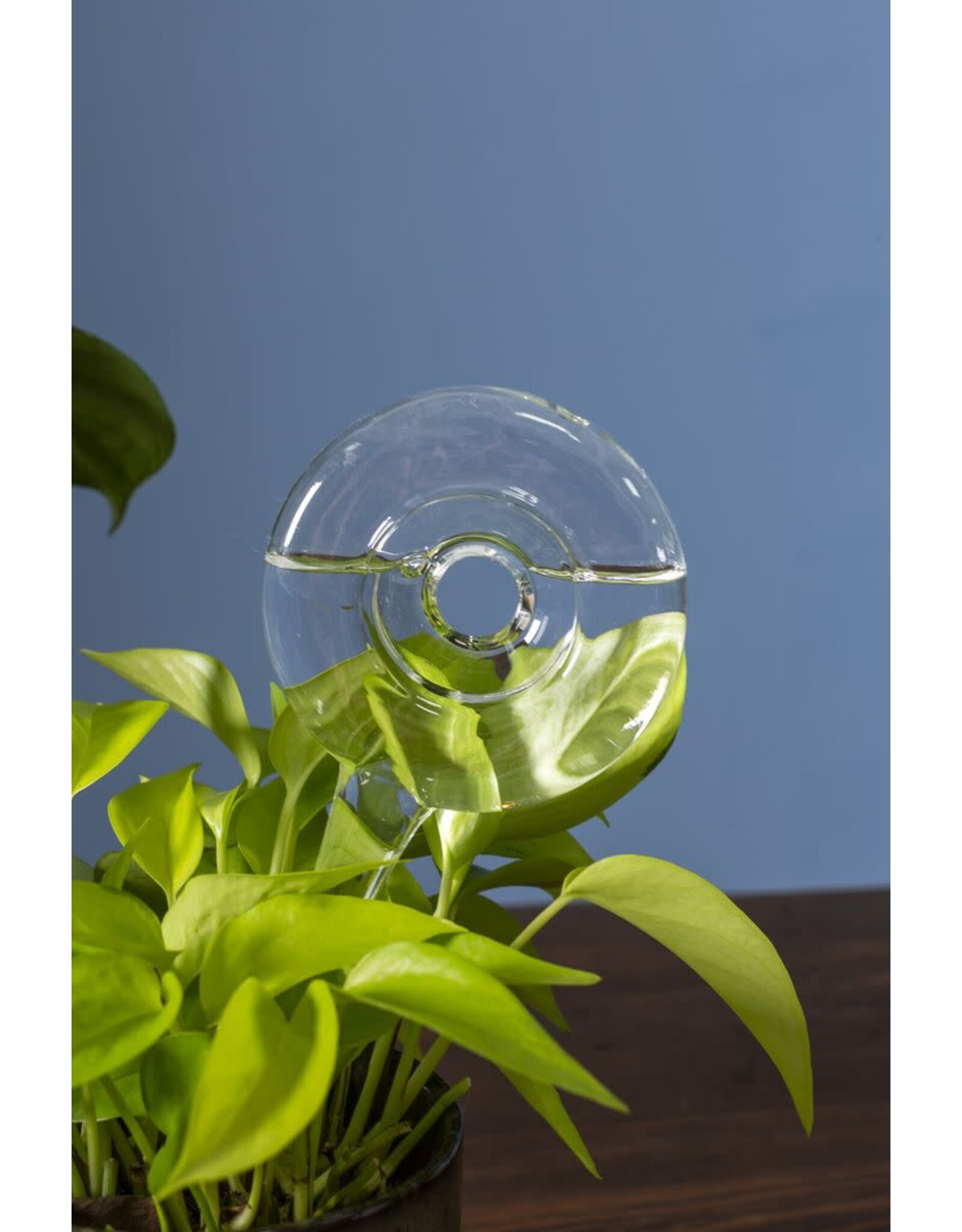 Trickle Watering Tube