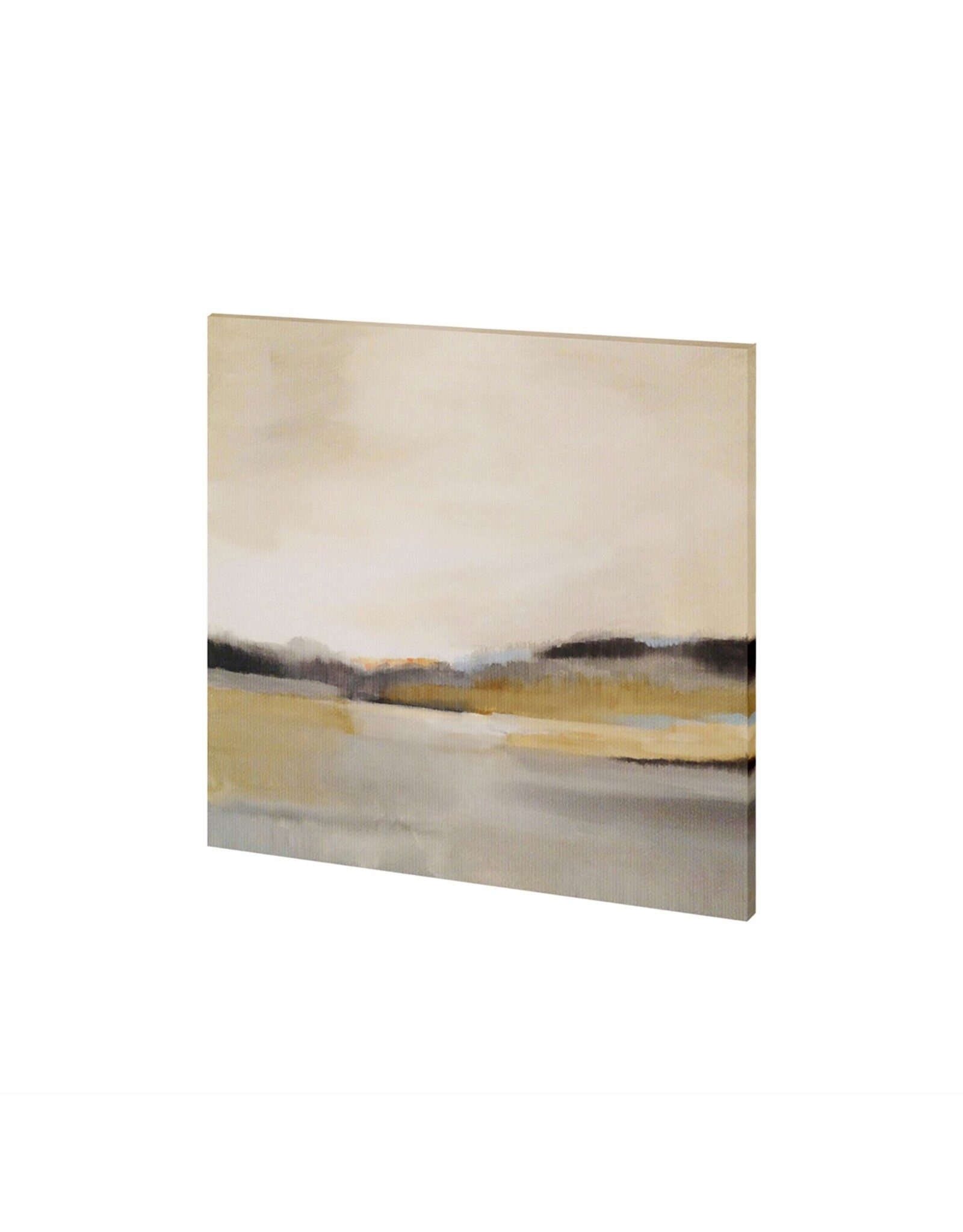 Morning Beach Canvas 30x30 Print
