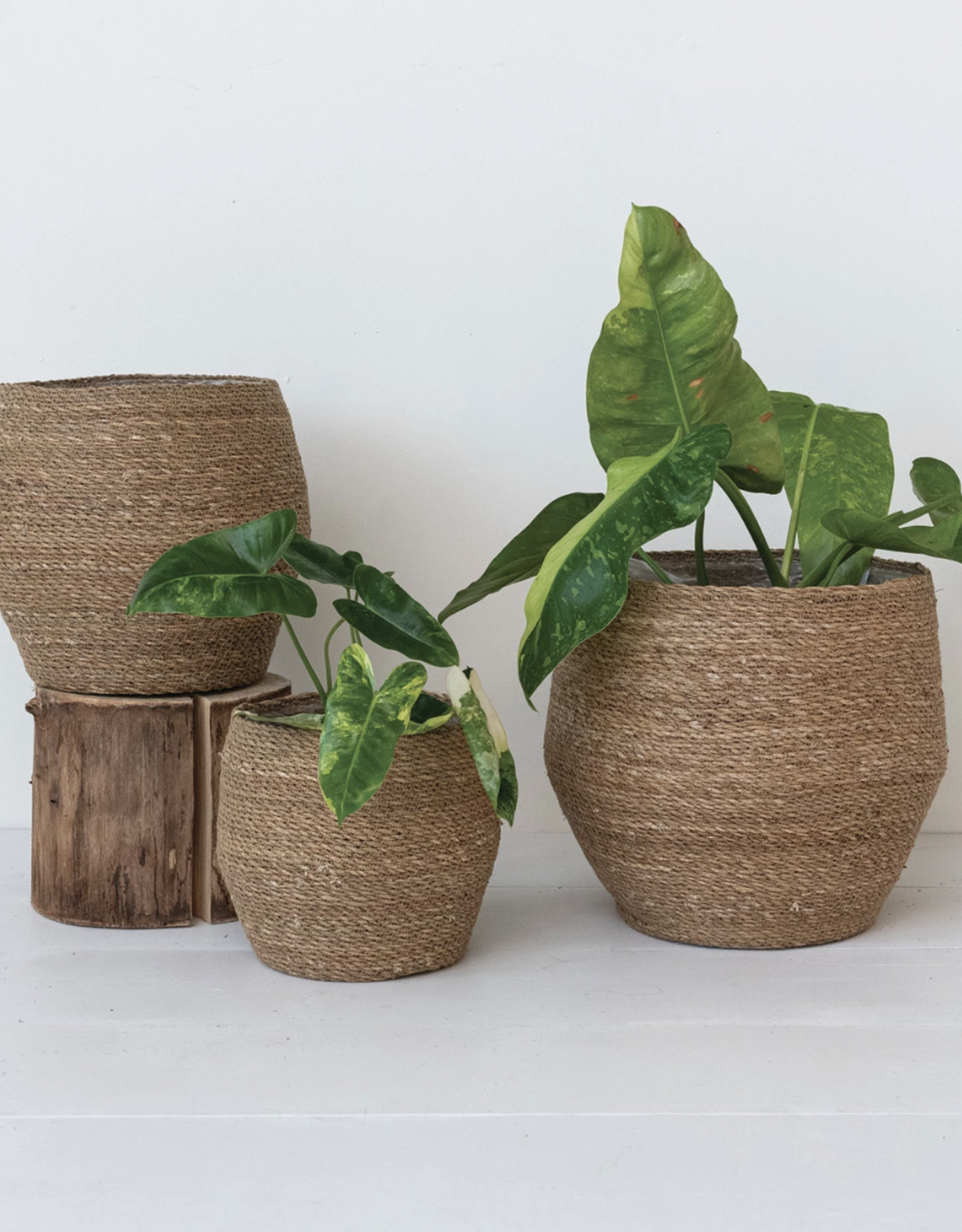 Decorative Woven Seagrass Baskets w/ Plastic Lining