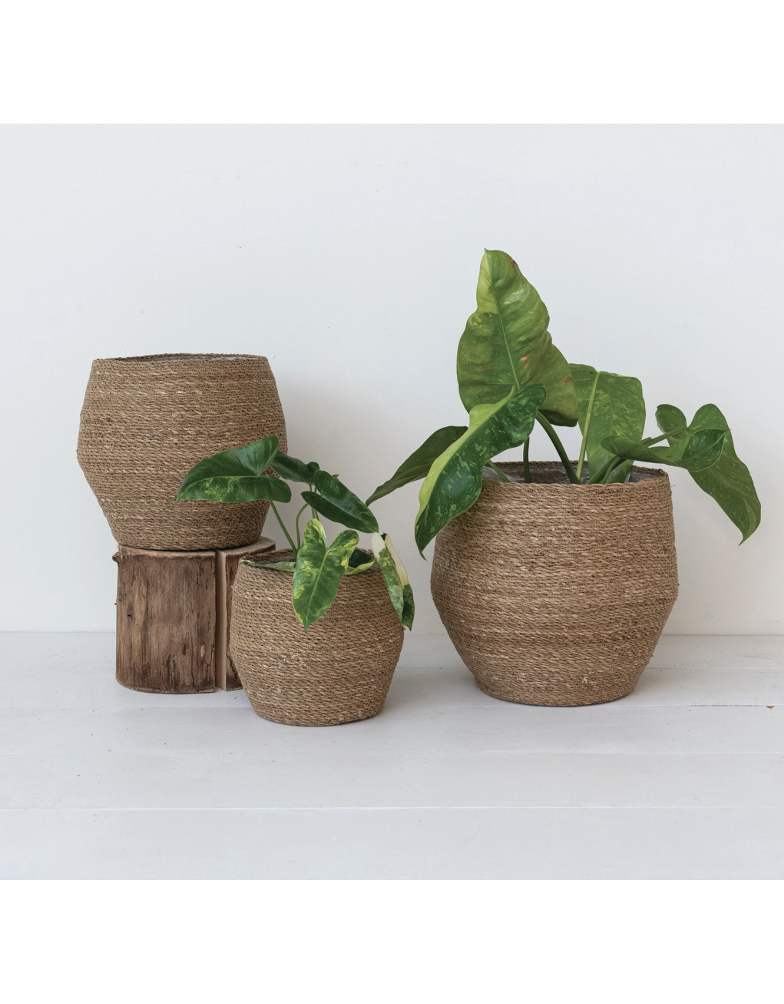 Decorative Woven Seagrass Baskets w/ Plastic Lining