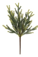 Pine Sprig