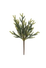 Pine Sprig