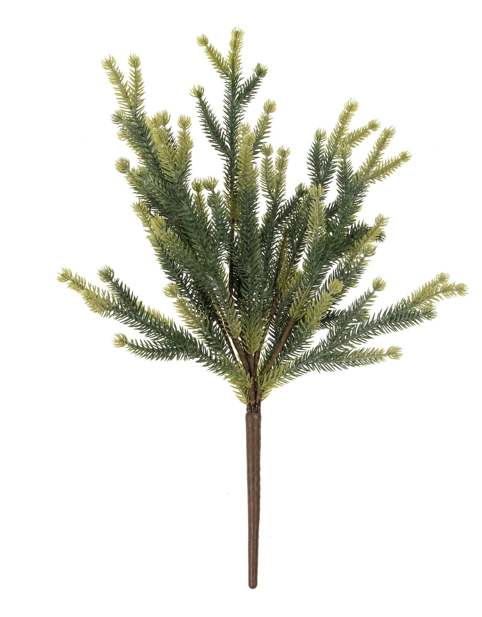Pine Sprig