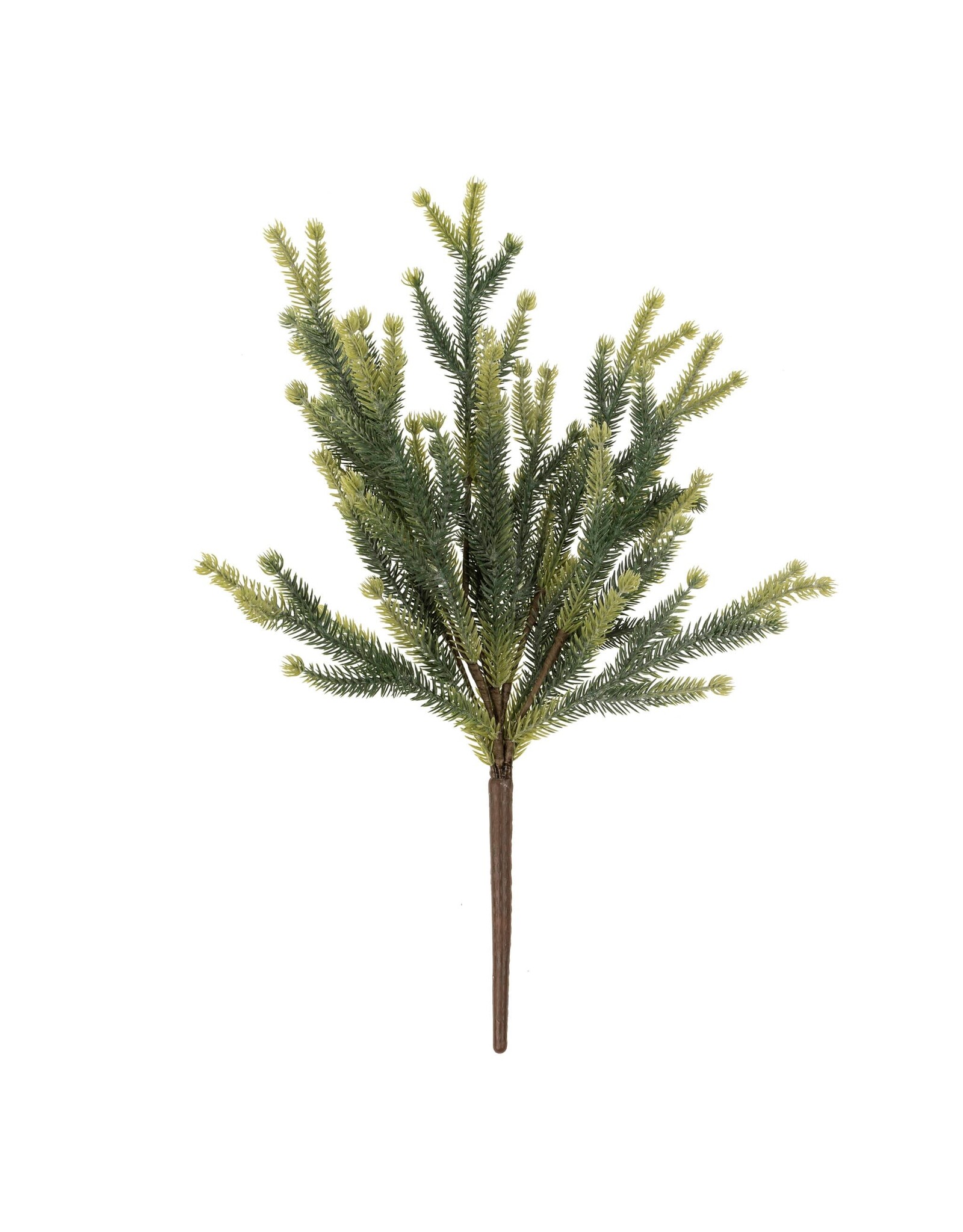 Pine Sprig