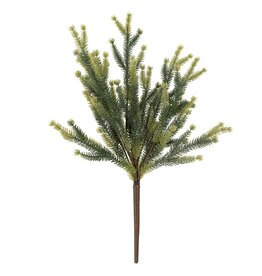 Pine Sprig
