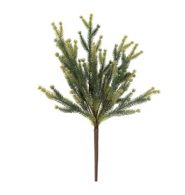 Pine Sprig