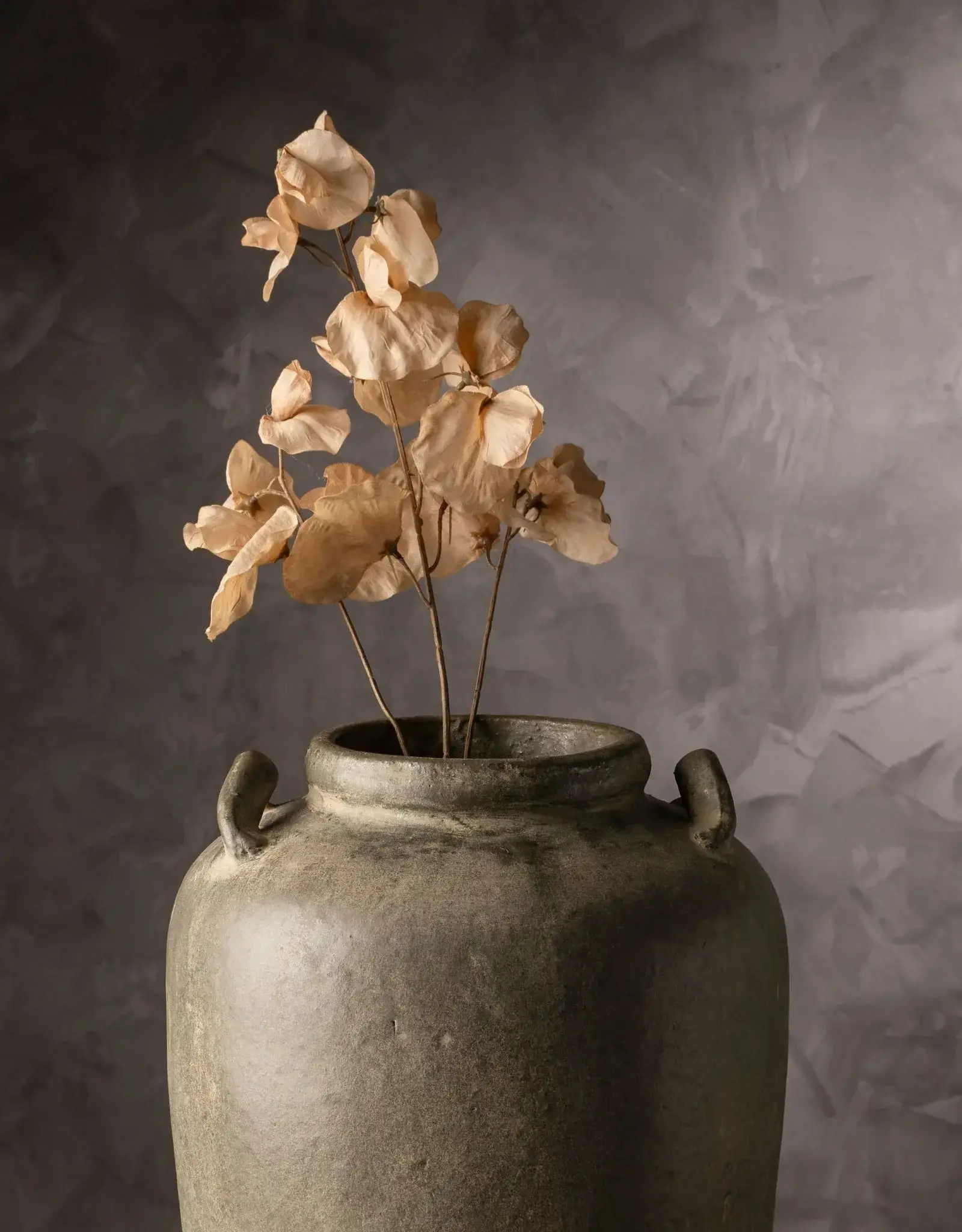 Sweet Pea Floral Stem