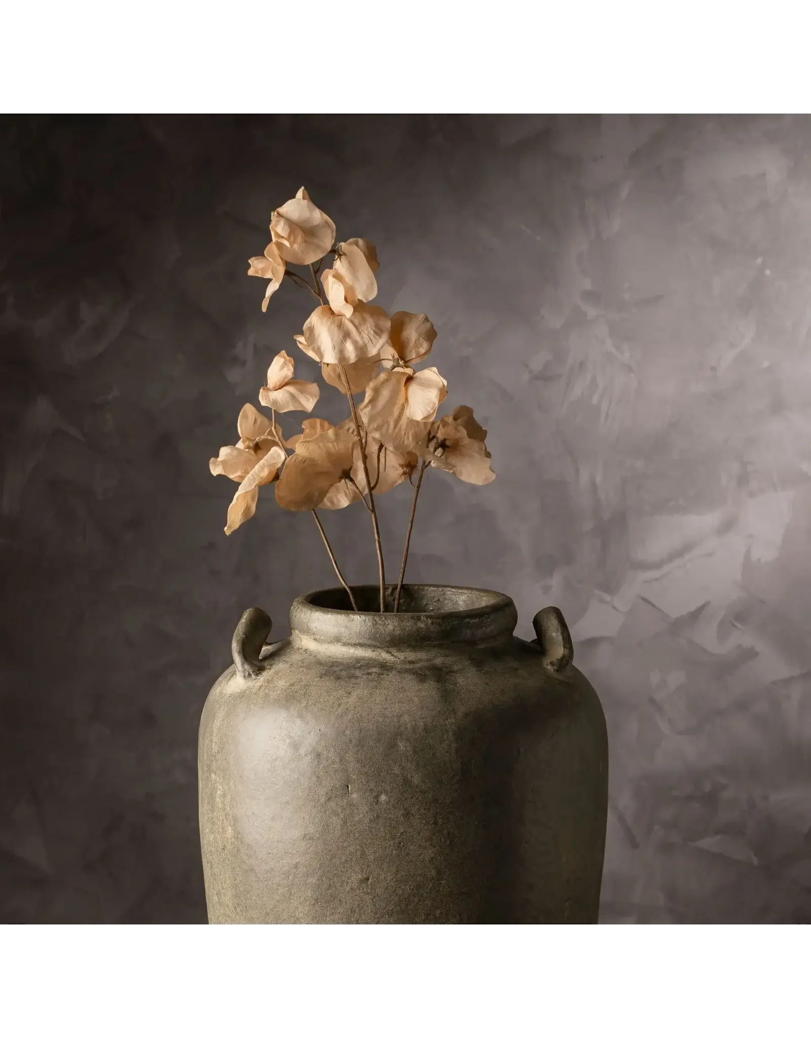 Sweet Pea Floral Stem - Brown