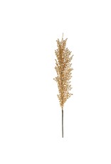 Wheat Stem