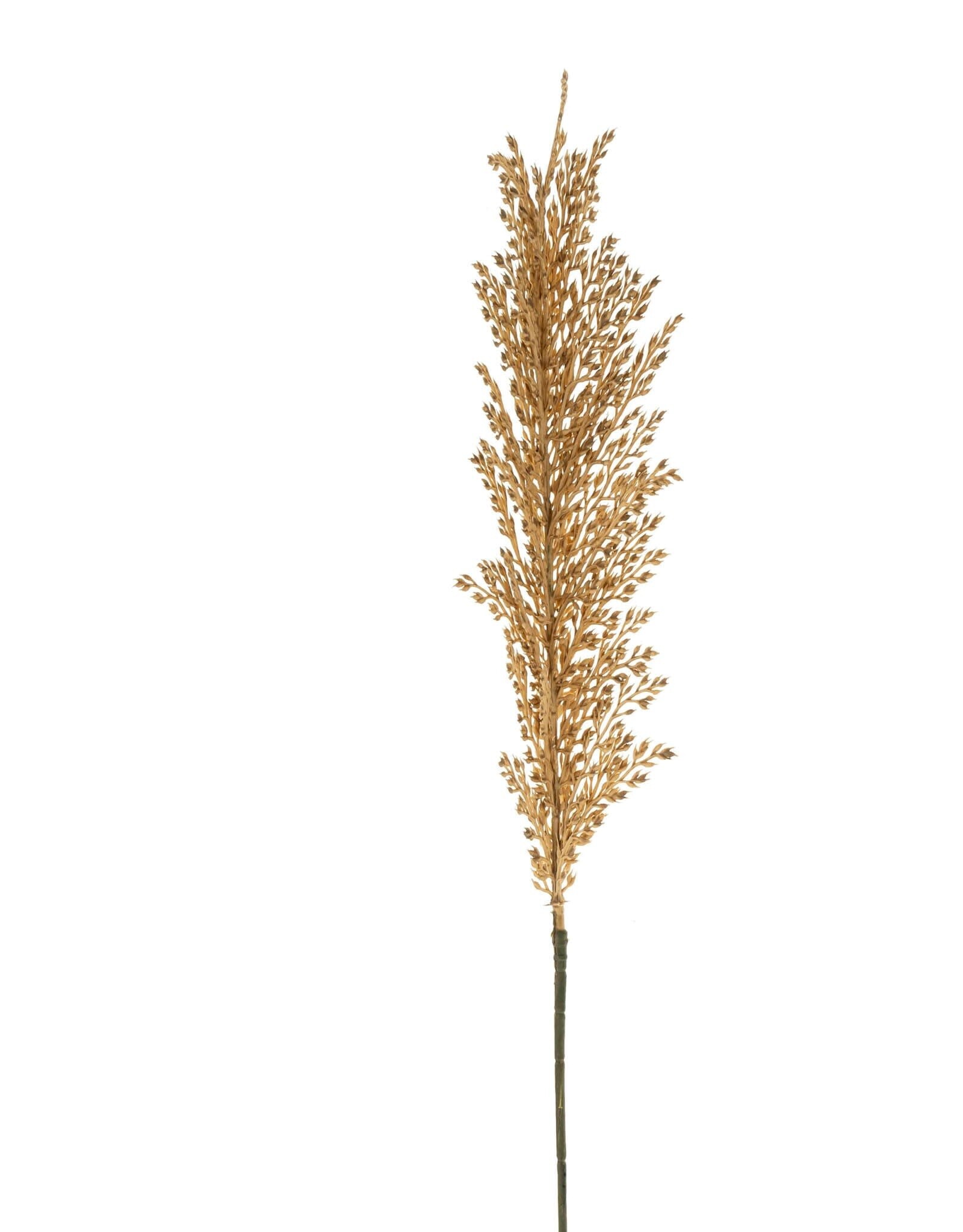 Wheat Stem