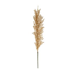 Wheat Stem