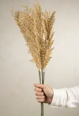 Wheat Stem