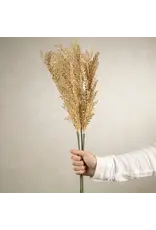 Wheat Stem