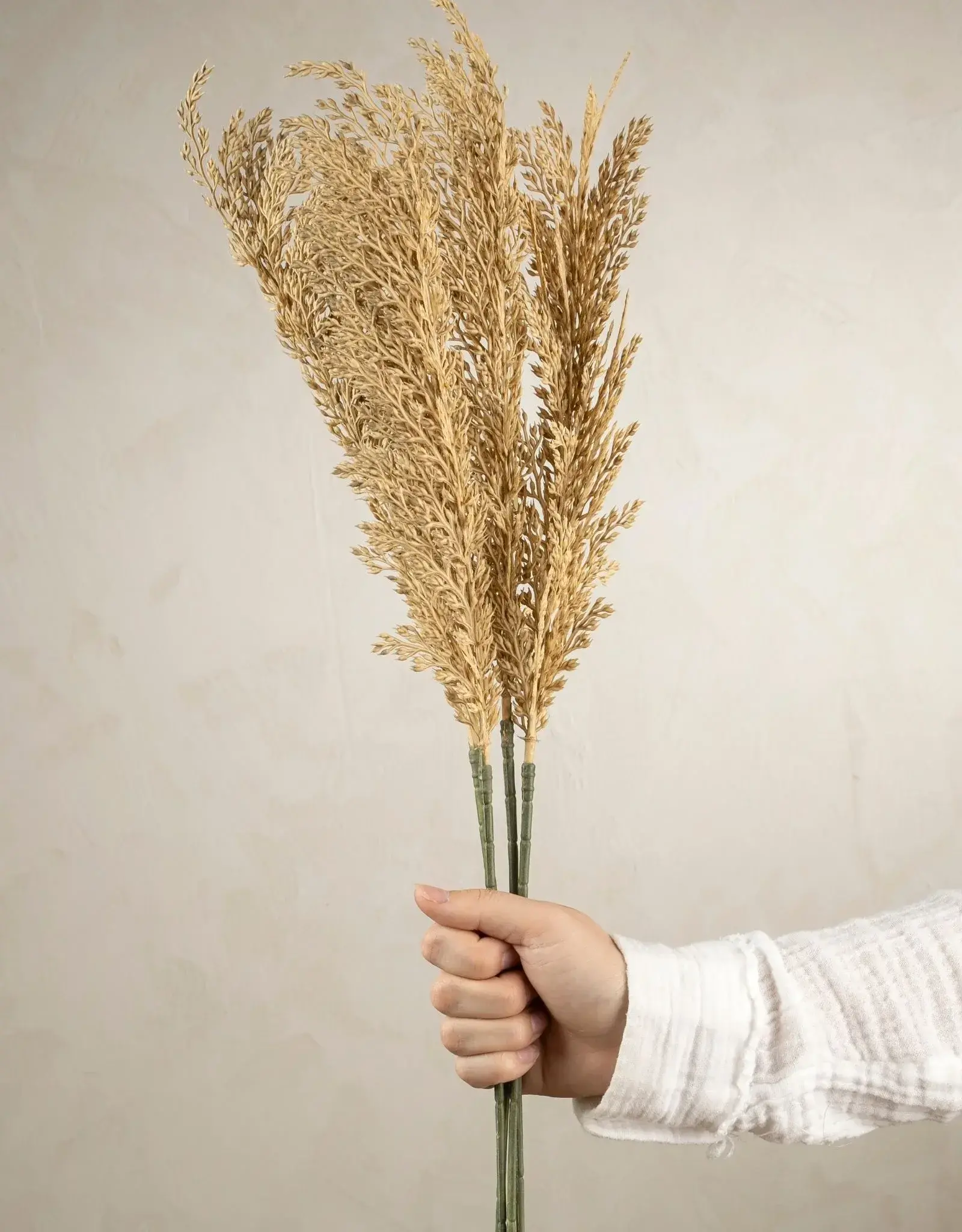 Wheat Stem