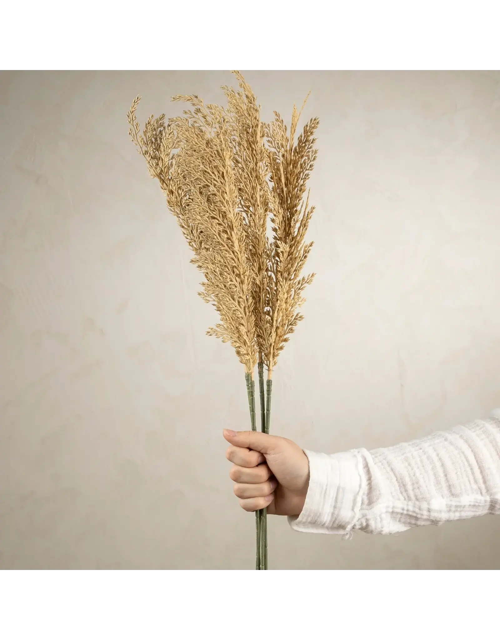 Wheat Stem