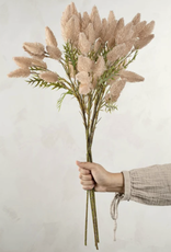 Pussytail Grass Spray