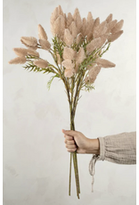 Pussytail Grass Spray