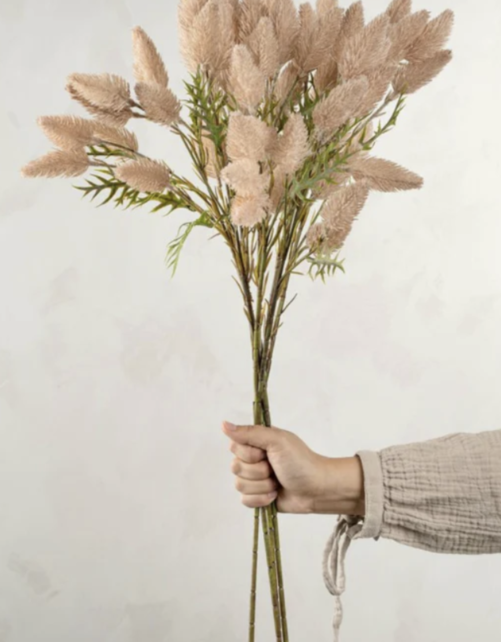 Pussytail Grass Spray