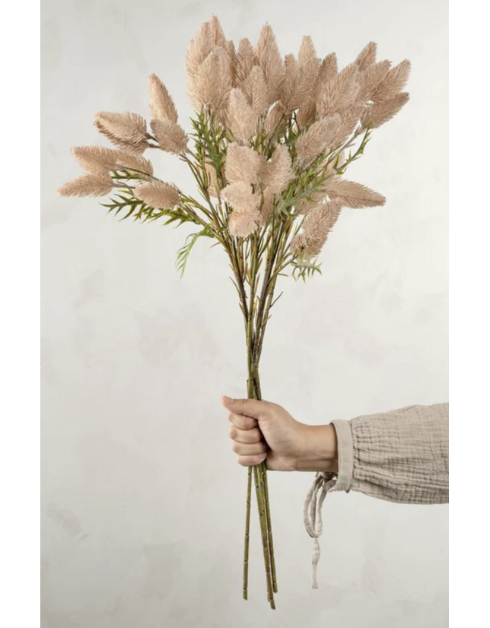 Pussytail Grass Spray
