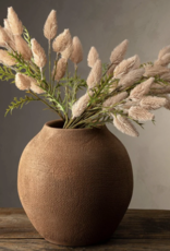 Pussytail Grass Spray