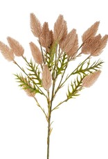 Pussytail Grass Spray
