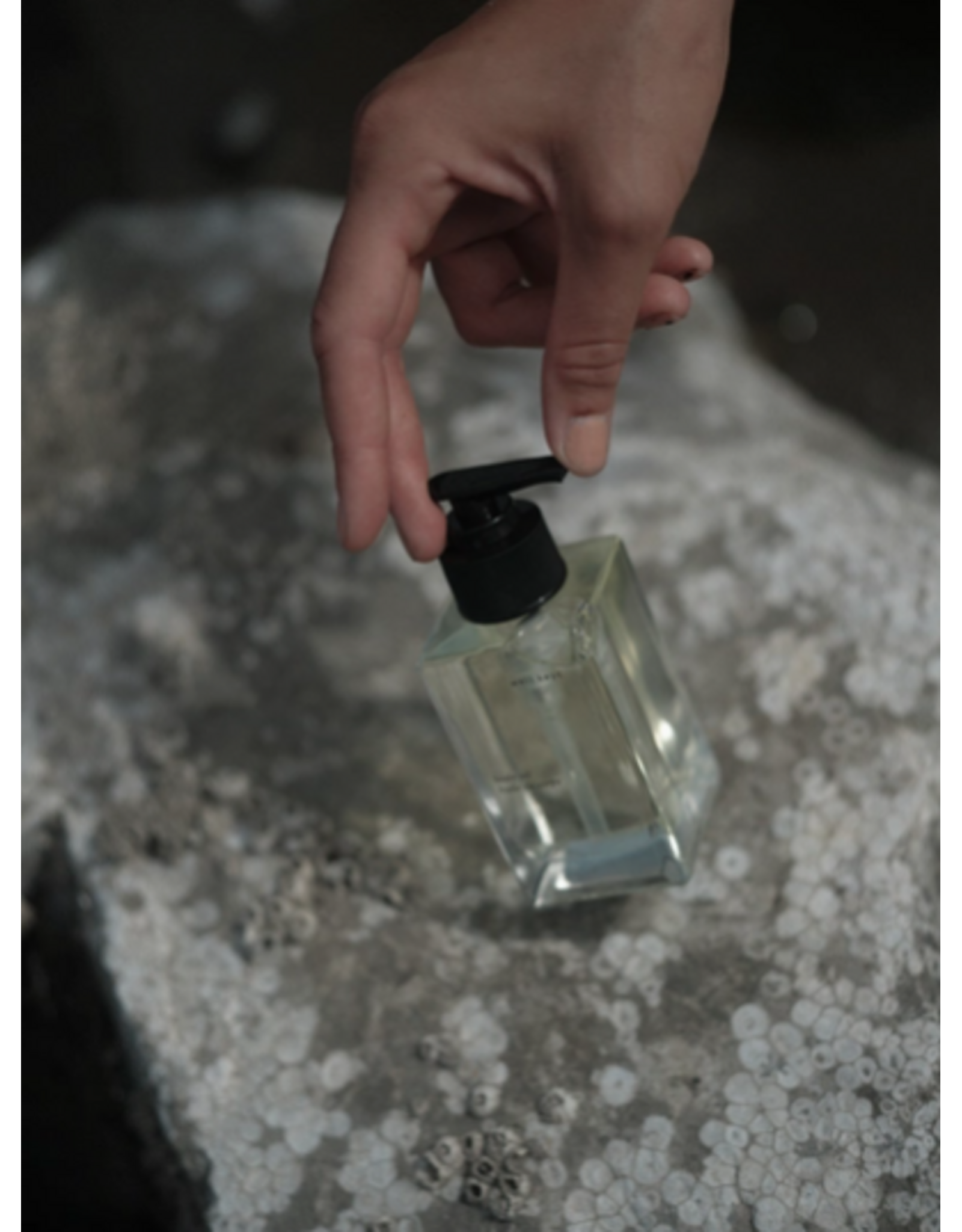 Body Oil