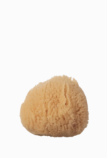 Silk Sea Sponge
