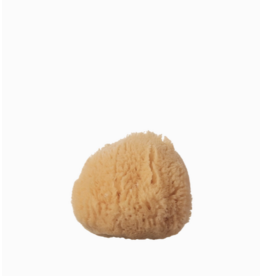 Silk Sea Sponge