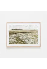 Flower Fields Vintage Art Print