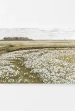 Flower Fields Vintage Art Print