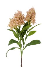 Lilac Floral Spray