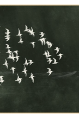 Flight of Passage 3, 49"w x 49"h