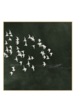 Flight of Passage 3, 49"w x 49"h