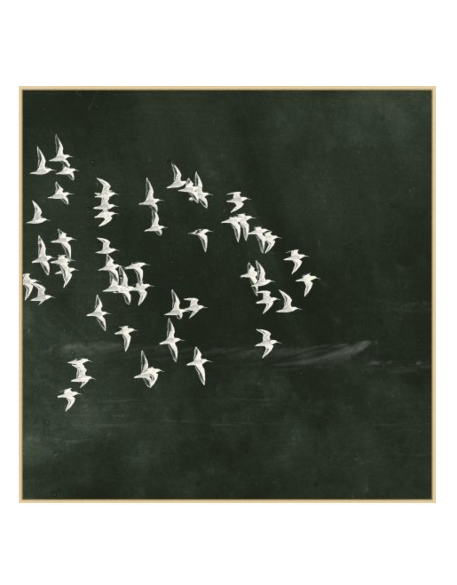 Flight of Passage 3, 49"w x 49"h
