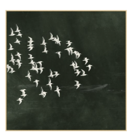 Flight of Passage 3, 49"w x 49"h