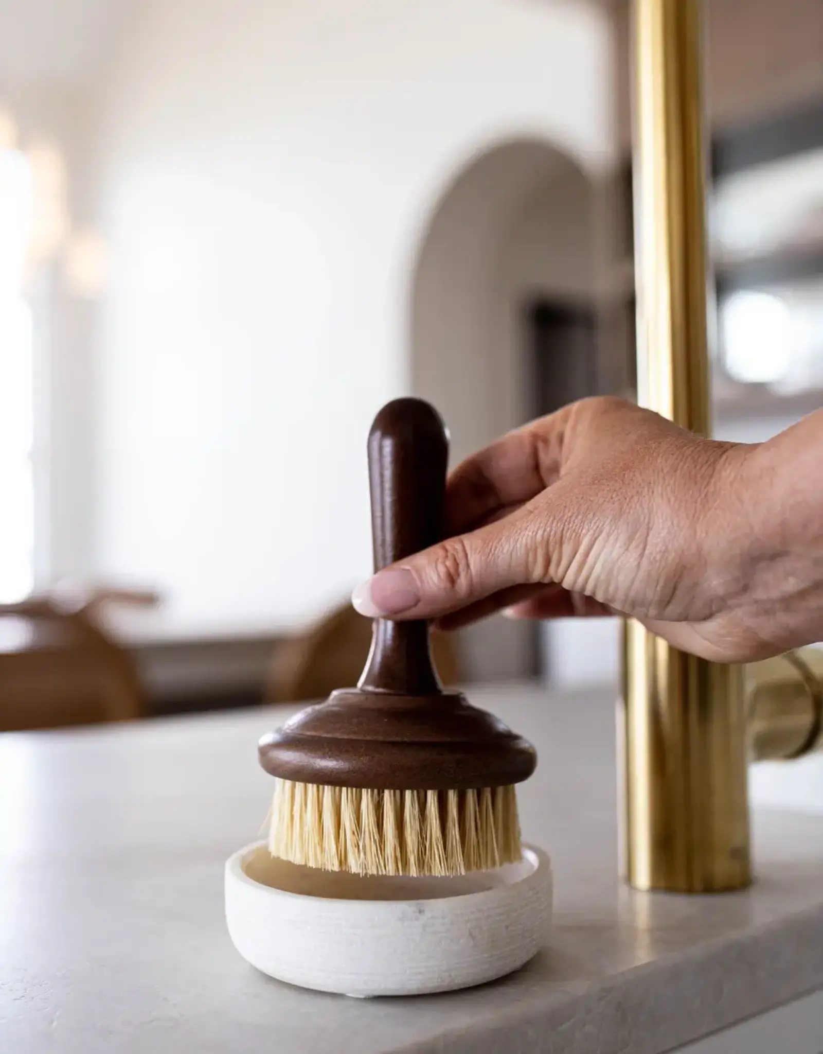 Dish Soap Scrub Brush